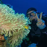 Diving Hurghada Egypt