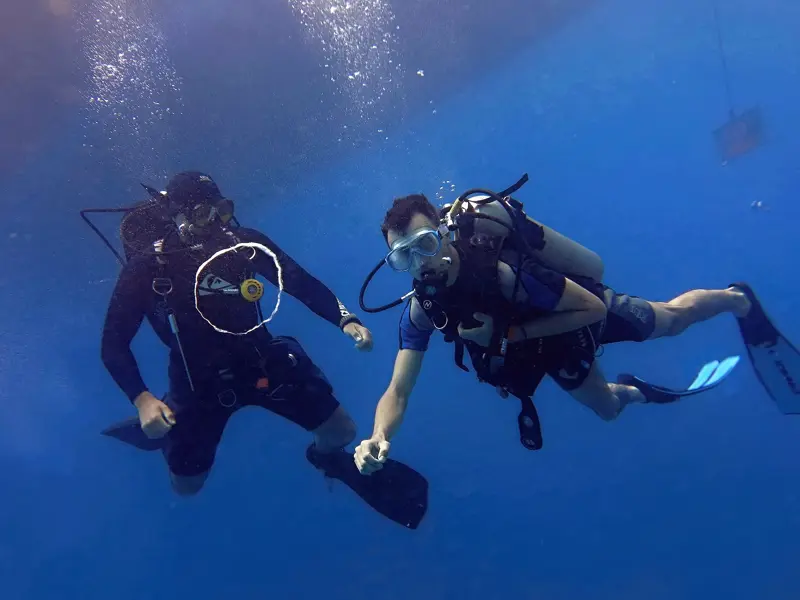 Safety rules when diving from a boat | Egypt Dive