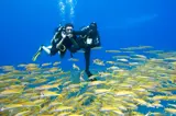 INTRO Diving Hurghada